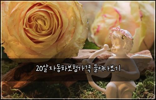 20์ด์๋์ฐจ๋ณดํ๊ฐ๊ฒฉ ๋ค์ฌ๋ค๋ณด๊ธฐ