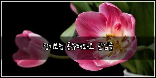 정기보험 공유해봐요  관심을
