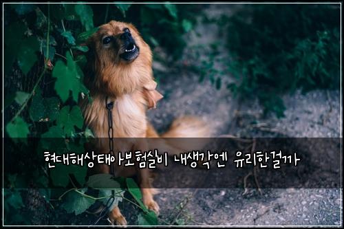ํ๋ํด์ํ์๋ณดํ์ค๋น ๋ด์๊ฐ์ ์ ๋ฆฌํ๊ฑธ๊น
