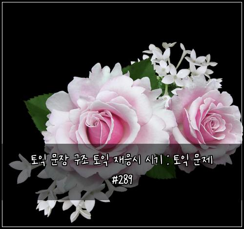 ํ ์ต ๋ฌธ์ฅ ๊ตฌ์กฐ ํ ์ต ์ฌ์์ ์๊ธฐ : ํ ์ต ๋ฌธ์ #289