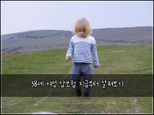 38세 여성 암보험 지금부터 살펴보기