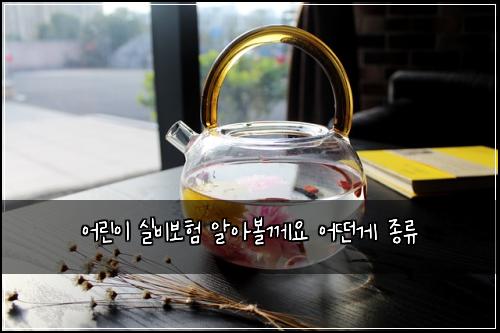 ์ด๋ฆฐ์ด ์ค๋น๋ณดํ ์์๋ณผ๊ป์ ์ด๋ค๊ฒ ์ข
๋ฅ