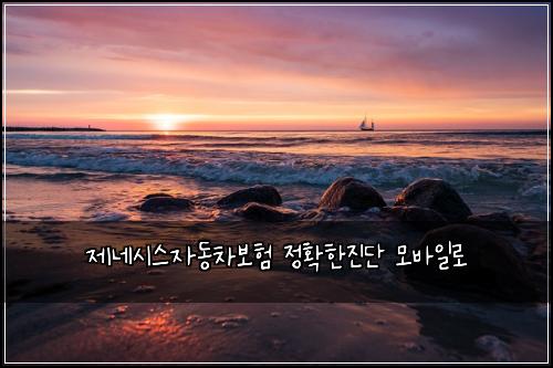 ์ ๋ค์์ค์๋์ฐจ๋ณดํ ์ ํํ์ง๋จ ๋ชจ๋ฐ์ผ๋ก