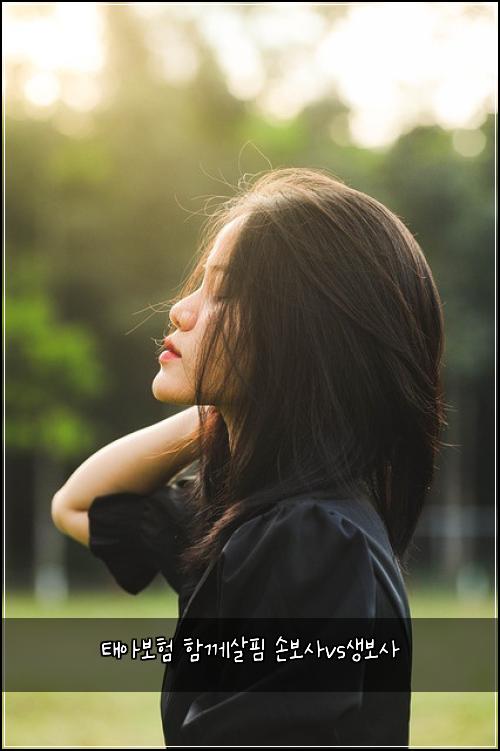 ํ์๋ณดํ ํจ๊ป์ดํ ์๋ณด์ฌvs์๋ณด์ฌ