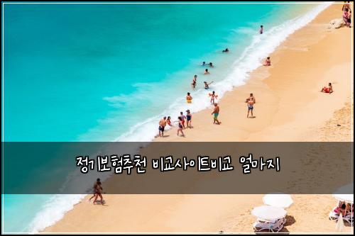 정기보험추천 비교사이트비교 얼마지