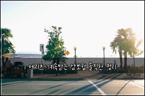 메리츠 계속받는 암보험 솔직한 정리