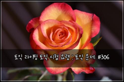 토익 라이팅 토익 시험 요령 : 토익 문제 #306