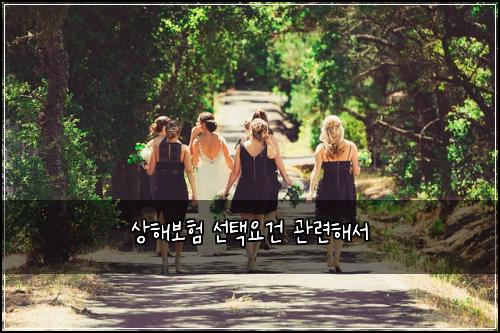 상해보험 선택요건  관련해서