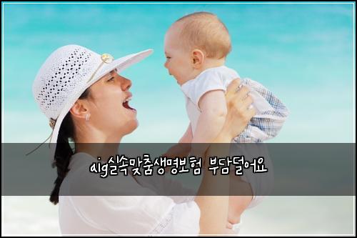 aig์ค์๋ง์ถค์๋ช
๋ณดํ ๋ถ๋ด๋์ด์