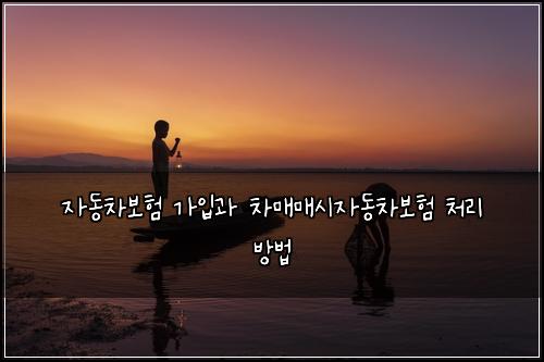 자동차보험 가입과 차매매시자동차보험 처리 방법