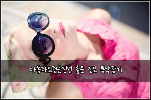 자동차보험운전병 좋은 정보 특약찾기