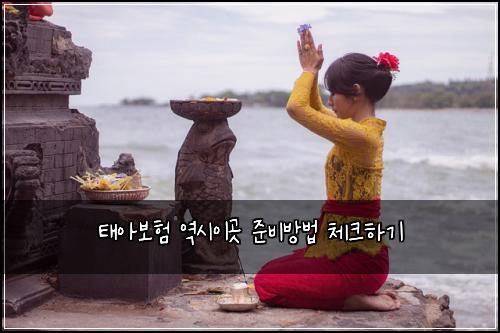 ํ์๋ณดํ ์ญ์์ด๊ณณ ์ค๋น๋ฐฉ๋ฒ ์ฒดํฌํ๊ธฐ