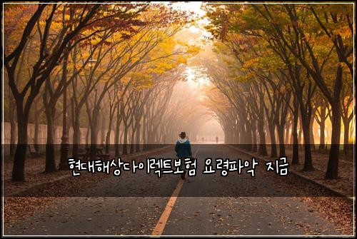 현대해상다이렉트보험 요령파악  지금