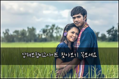 상해보험비교사이트 찾아보기 꼭보세요