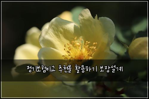 ์ ๊ธฐ๋ณดํ๋น๊ต ์ถ์ฒ๋ชฐ ํ์ฉํ๊ธฐ ๋ณด์ฅ์ค๊ณ