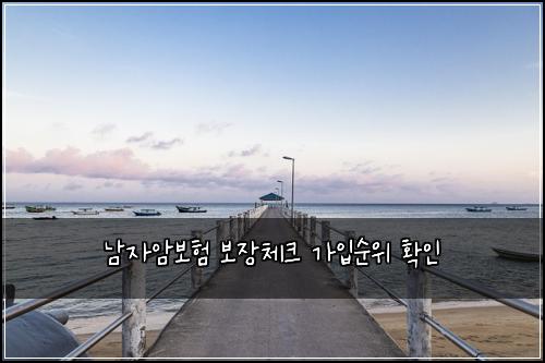 남자암보험 보장체크  가입순위 확인