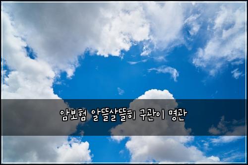 μ보ν μλ°μ΄λ°ν ꡬκ΄μ΄ λͺ
κ΄