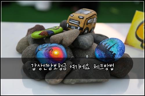 갑상선암보험금 여기에요 체크방법
