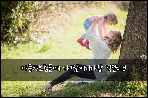 자동차보험들때 가격은여기가갑 적절체크