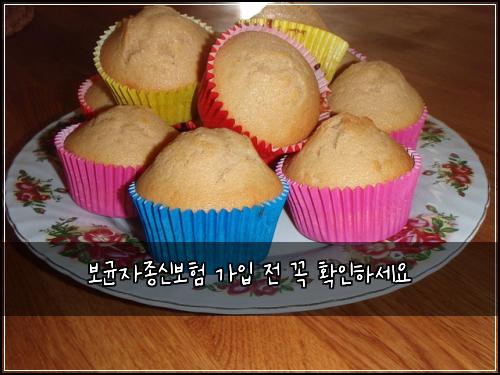 보균자종신보험 가입 전 꼭 확인하세요