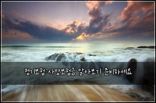 ์ ๊ธฐ๋ณดํ ์ฌ๋ง๋ณดํ๊ธ ์์๋ณด๊ธฐ ์ค๋นํ์ธ์