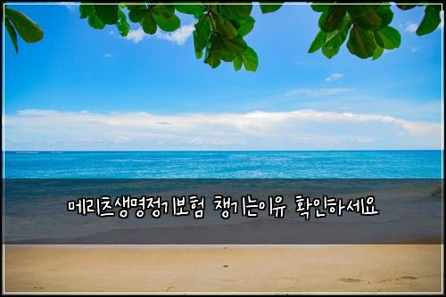 메리츠생명정기보험 챙기는이유  확인하세요