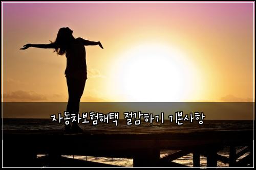 자동차보험해택 절감하기 기본사항