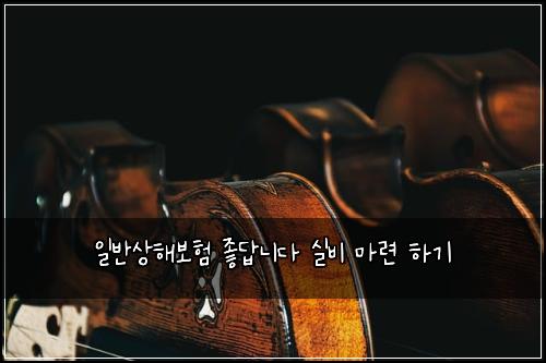 ์ผ๋ฐ์ํด๋ณดํ ์ข๋ต๋๋ค ์ค๋น ๋ง๋ จ ํ๊ธฐ