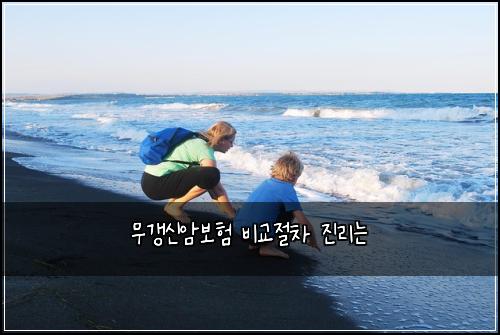 무갱신암보험 비교절차  진리는