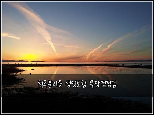 ์ฒ์ถ๋ถ๋ฆฌ์ฆ ์๋ช
๋ณดํ ํน์ฅ์ ์ ๊ฒ