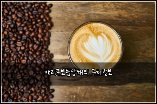 매리츠보험상해의 구체정보