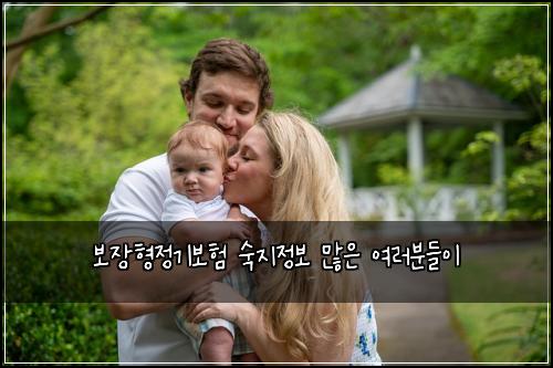 보장형정기보험 숙지정보  많은 여러분들이