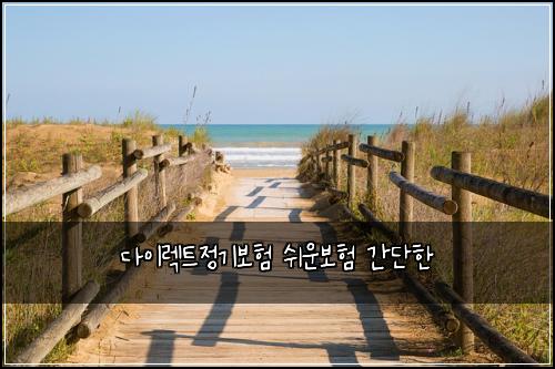 다이렉트정기보험 쉬운보험  간단한