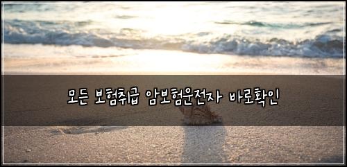 모든 보험취급 암보험운전자 바로확인