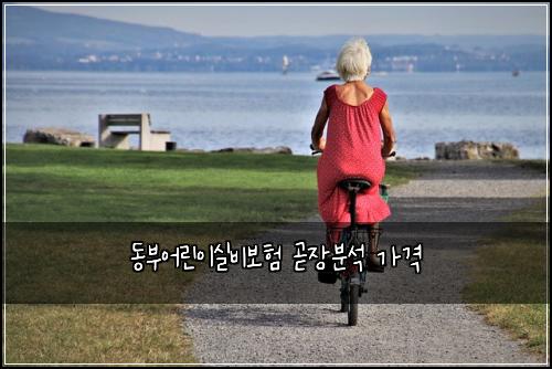 동부어린이실비보험 곧장분석  가격