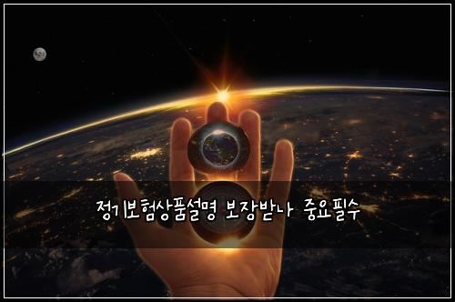 정기보험상품설명 보장받나 중요필수