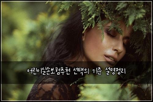 ์ด๋ฆฐ์ด์ค์๋ณดํ์ถ์ฒ ์ ํ์ ๊ธฐ์ค ์ค๋ช
์ ๋ฆฌ