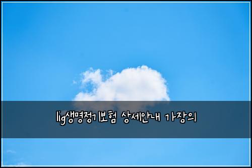 lig생명정기보험 상세안내  가장의