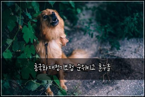 ํฅ๊ตญํ์ฌ์ ๊ธฐ๋ณดํ ์์๋น๊ต ํ๋์ฌ