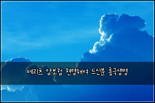 메리츠 암보험 현명해여  드신분 흥극생명