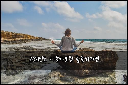 2021λ
λ μλ차보ν νμ©νλ €λ©΄