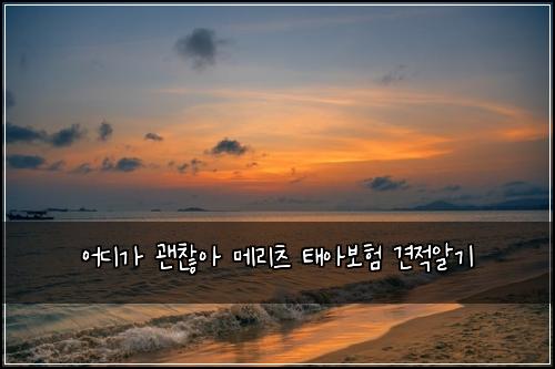 ์ด๋๊ฐ ๊ด์ฐฎ์ ๋ฉ๋ฆฌ์ธ ํ์๋ณดํ ๊ฒฌ์ ์๊ธฐ