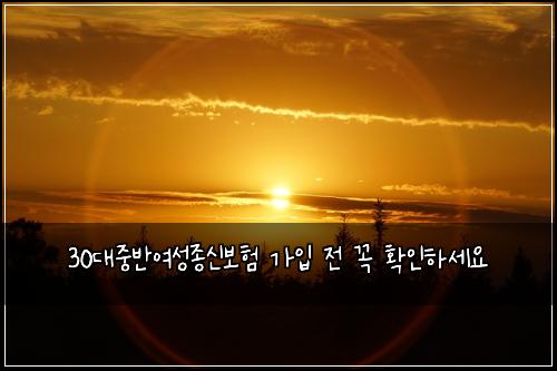 30대중반여성종신보험 가입 전 꼭 확인하세요