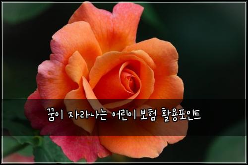 꿈이 자라나는 어린이 보험 활용포인트 