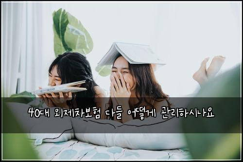 40대 외제차보험 다들 어떻게 관리하시나요