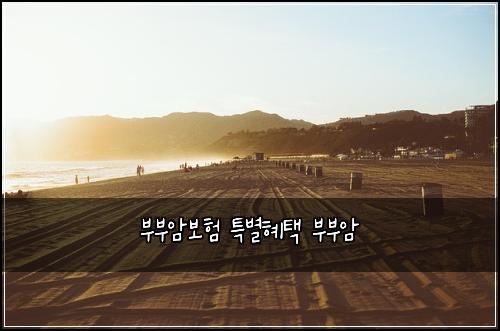 부부암보험 특별혜택  부부암