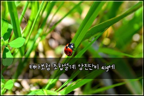 태아보험 조합설계  암진단비 aig에