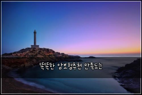 똑똑한 암보험추천 만족도는