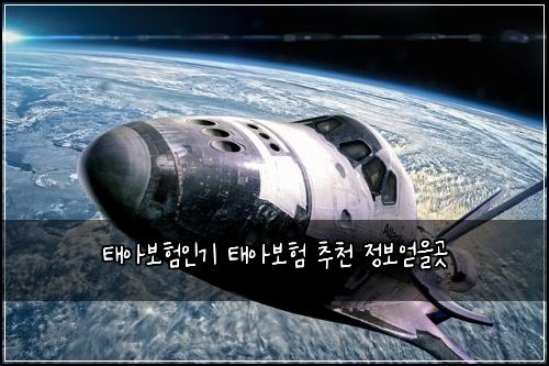 태아보험인기 태아보험 추천 정보얻을곳