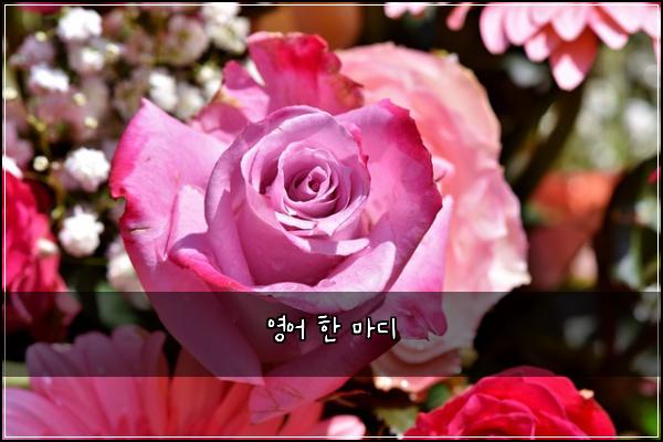 영어 한 마디